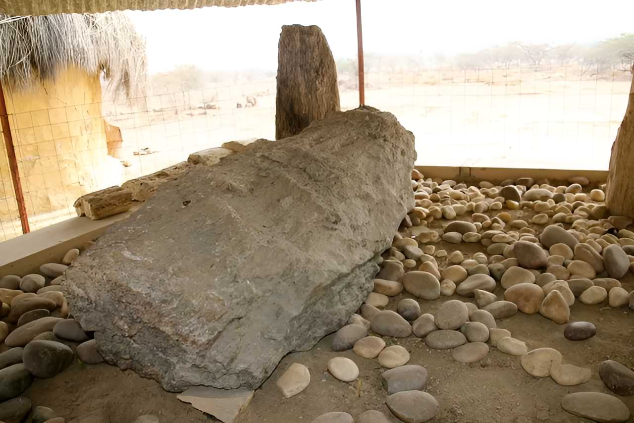 Wildlife at Akal Fossil Park