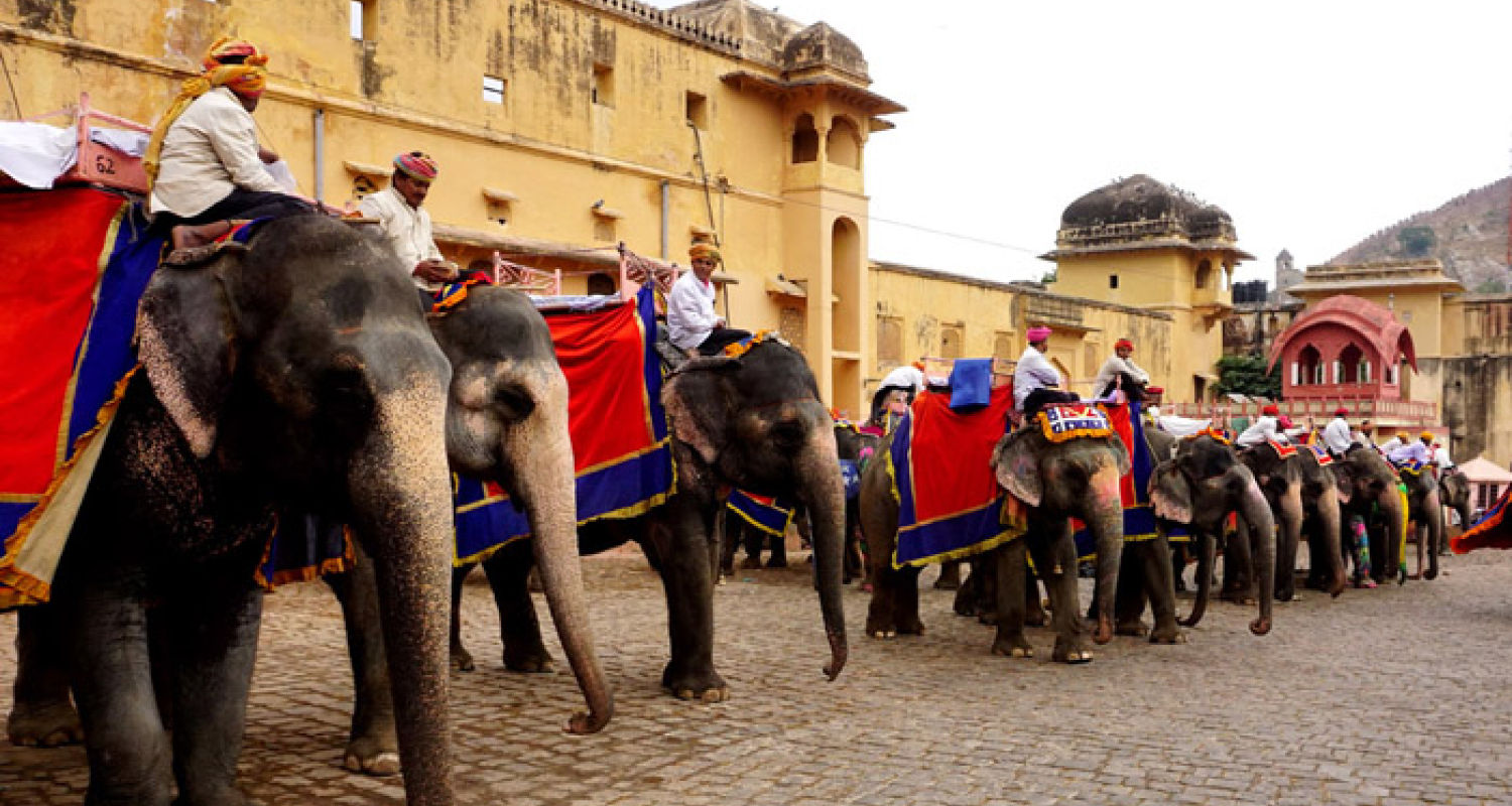 Elephant Ride at Amer Fort