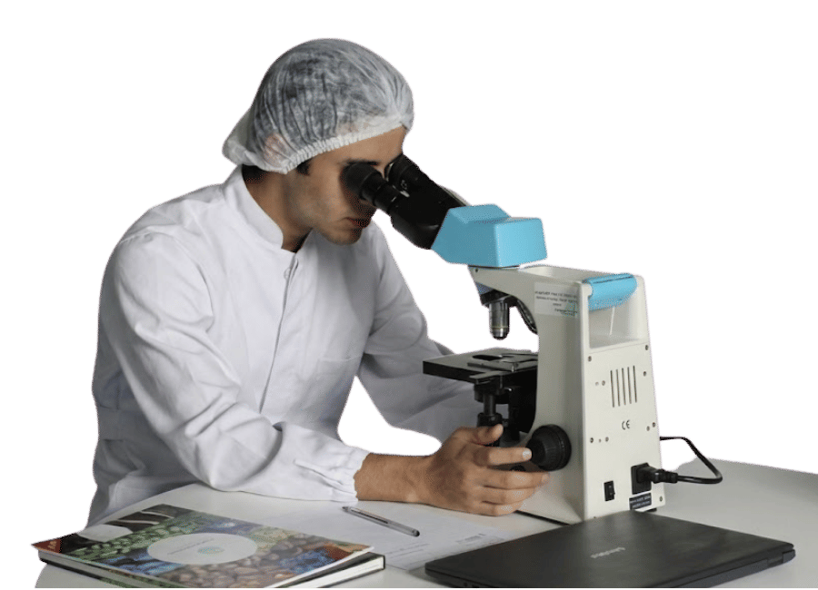 Style%20%20=========================================================%20Purple%20Peptides%20 %20How%20It%20Works%20(3%20Cards)%20WordPress%20HTML Block%20safe%20+%20Full Bleed%20section%20width%20=====================================