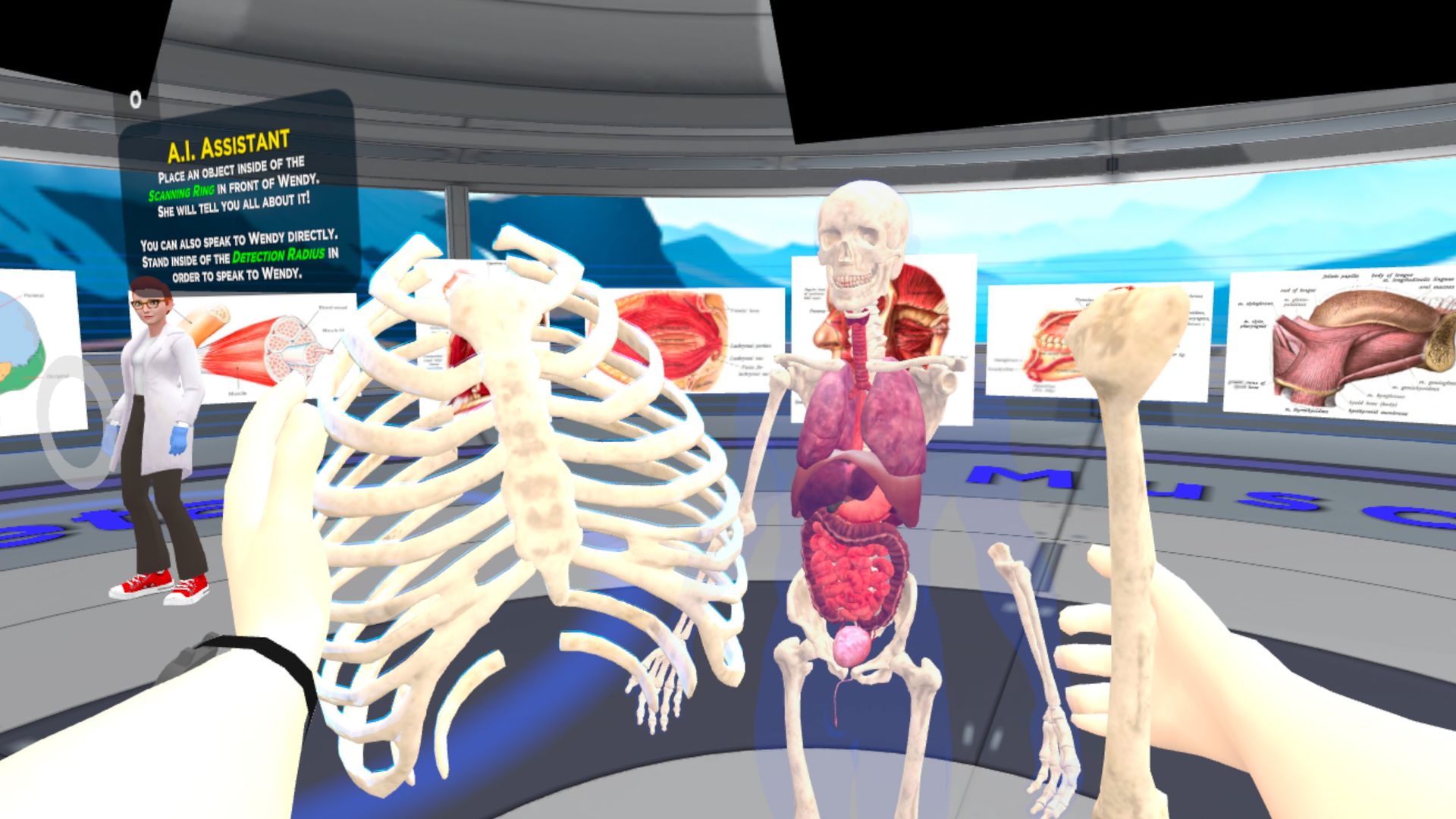 Virtual Reality for Primary School Education