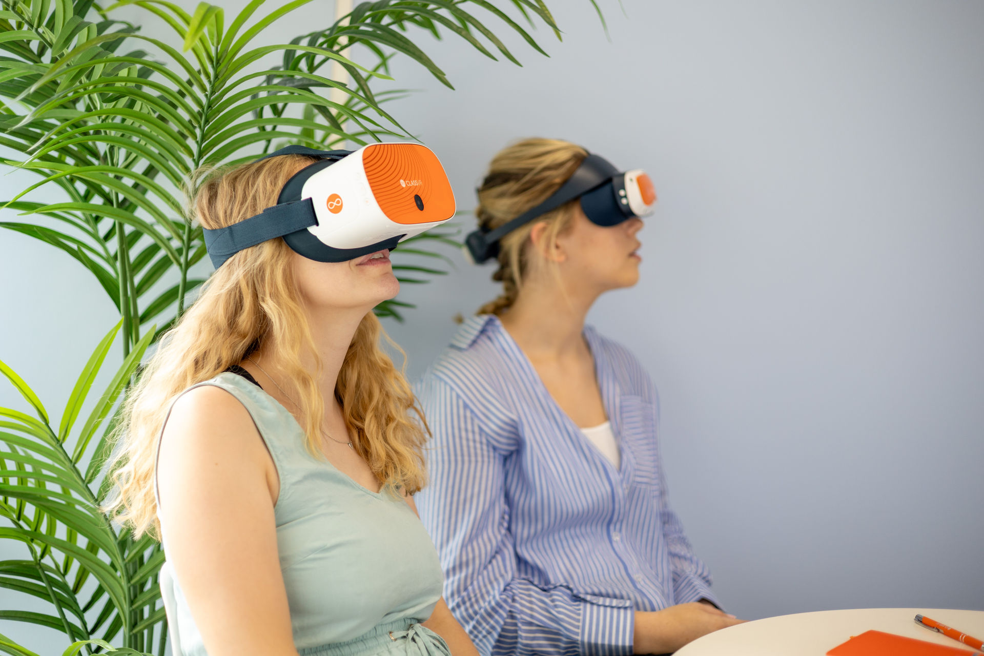 Save time and cost with VR