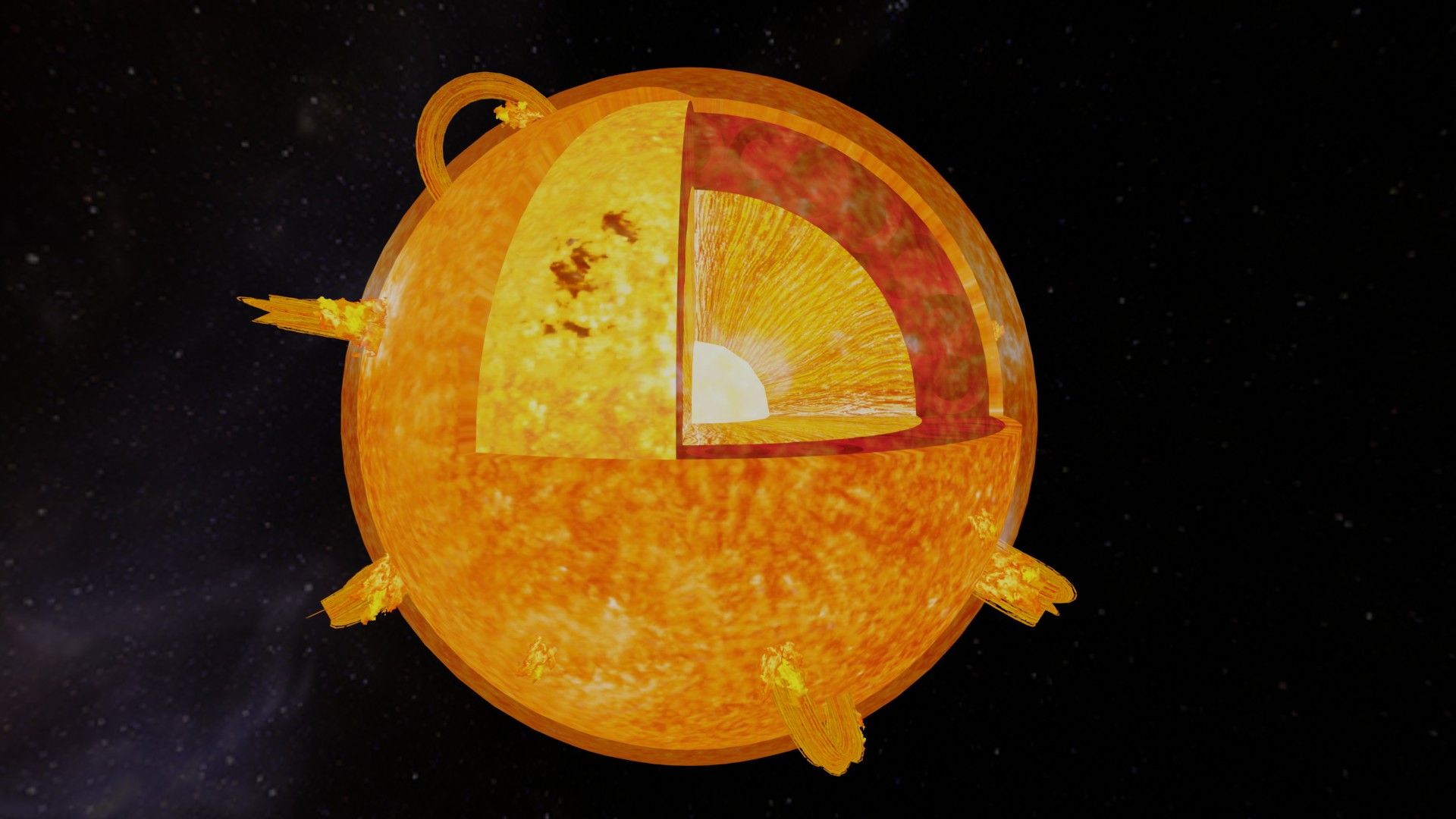 Fish and ocean teaching material