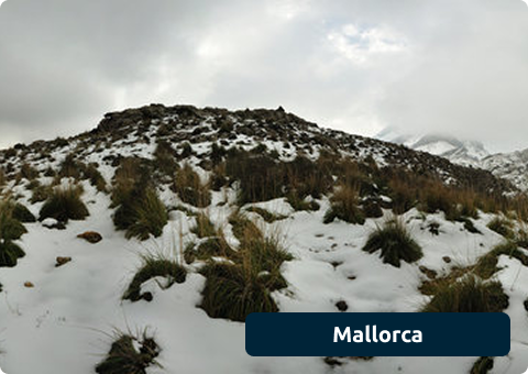 Mallorca Immersive Images