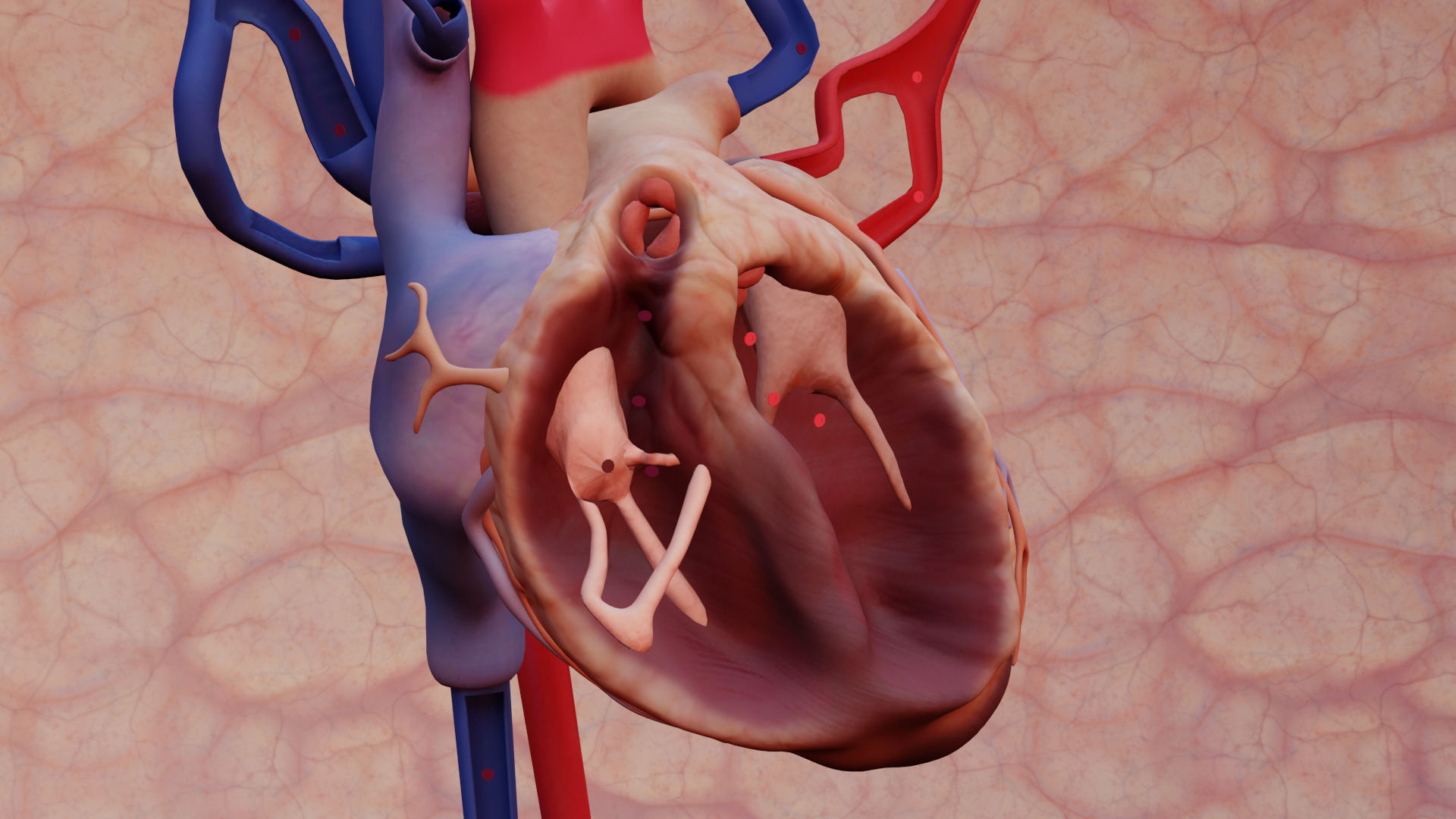biology Teaching Materials