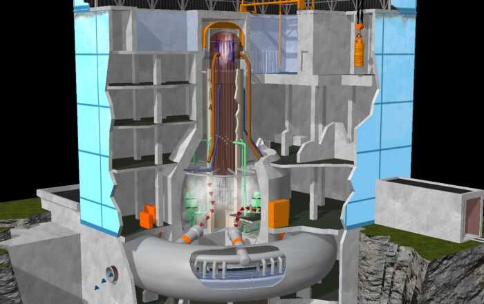 Mammals Teaching resources 