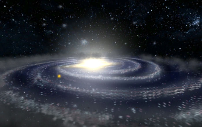 Bones and Mussels Teaching Materials