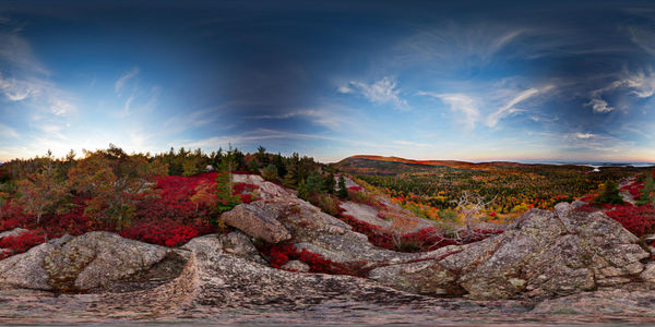 See seasons through VR