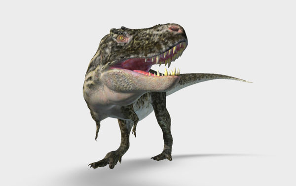 Paleontology Lesson Resources