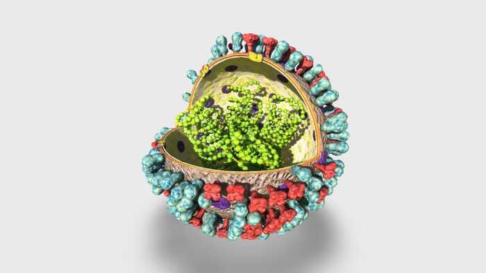 Cells teaching materials
