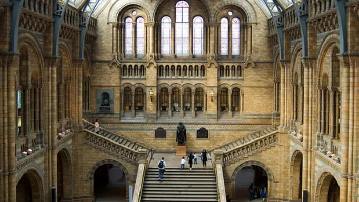 VR for Public Attractions