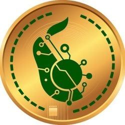 Avocadocoin