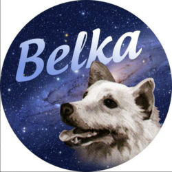 Belka [old]