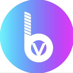 Bitvalley