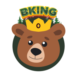 Bking Finance