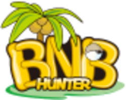 Bnbhunter