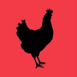 Chikn Feed