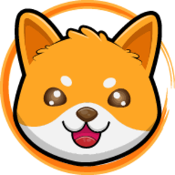 Doge Floki Coin
