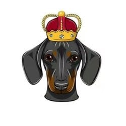 Dogeking