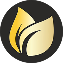 Earnfinex