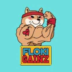 Flokigainz