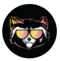 Rocket Raccoon