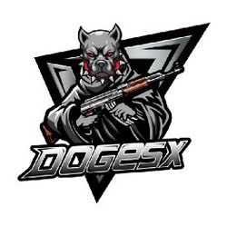 Doge Spacex