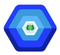 Earthchain