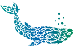 Bulk Network