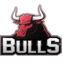 Bulls