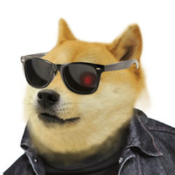 Dogefi