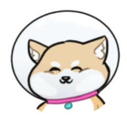 Huskyshiba