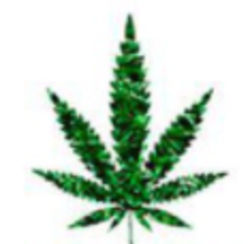 Non-fungible Toke