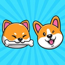 Shibacorgi