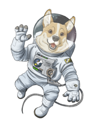 Spacecorgi