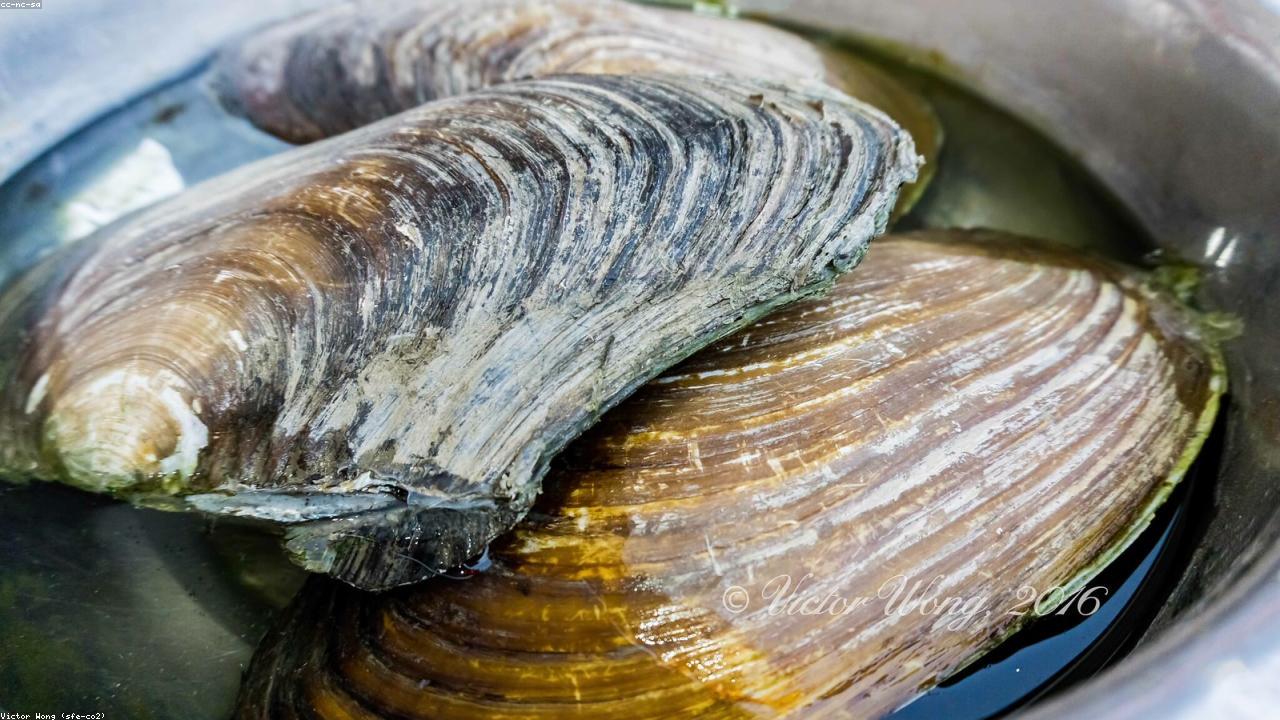 18 Ultimate Tips to Improve Your Healthy Life