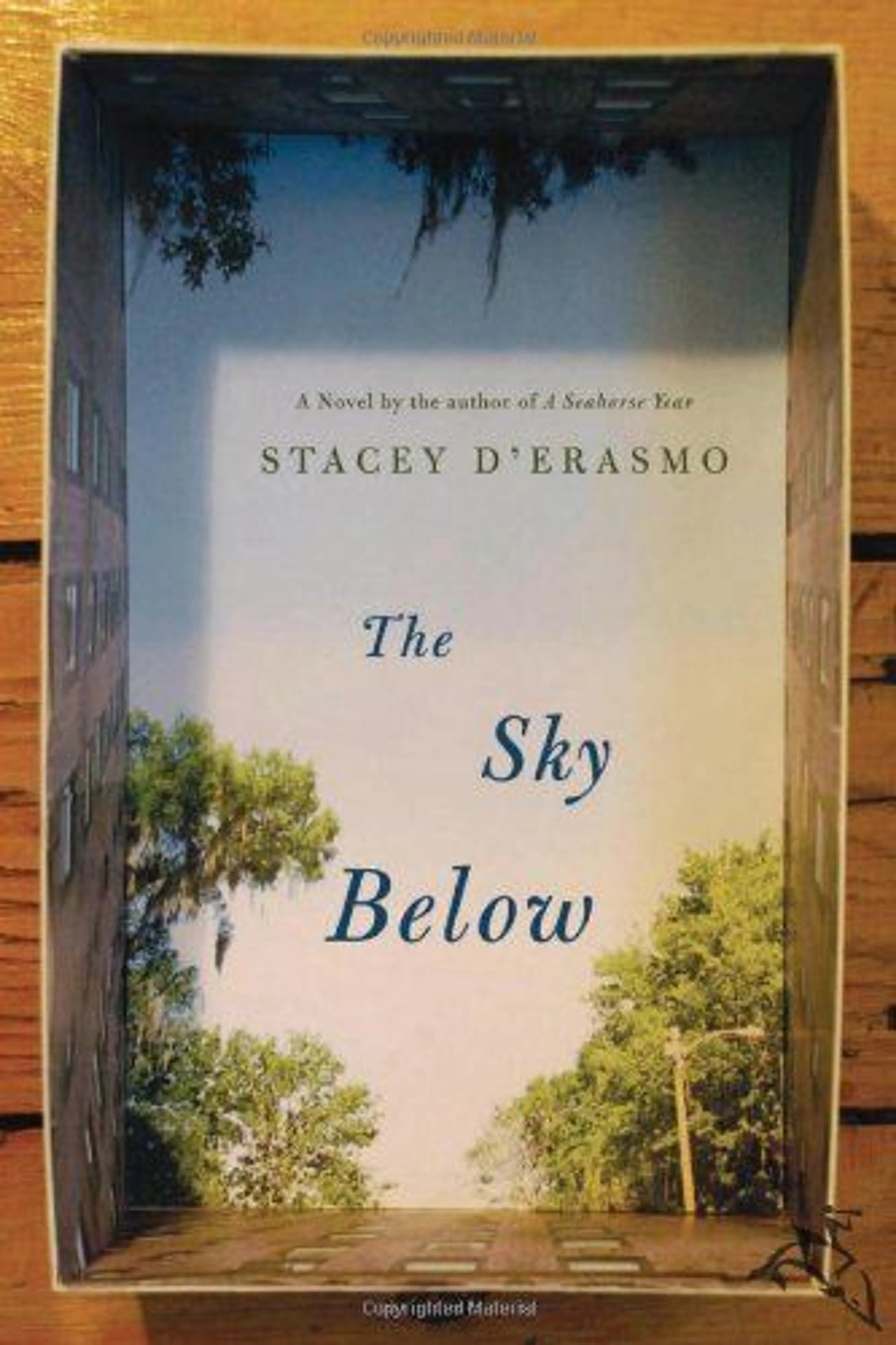 cover of The Sky Below