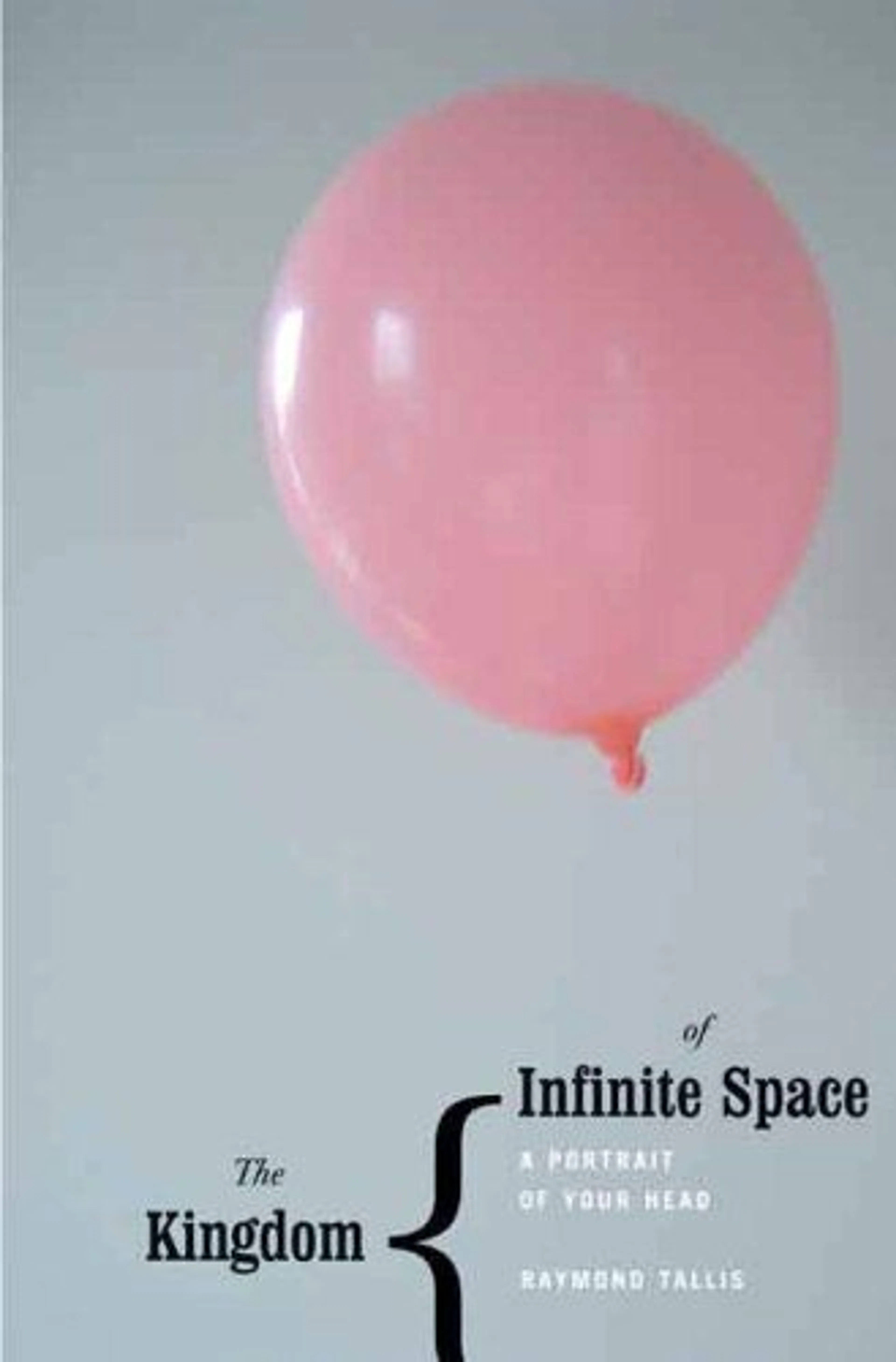 cover of The Kingdom of Infinite Space