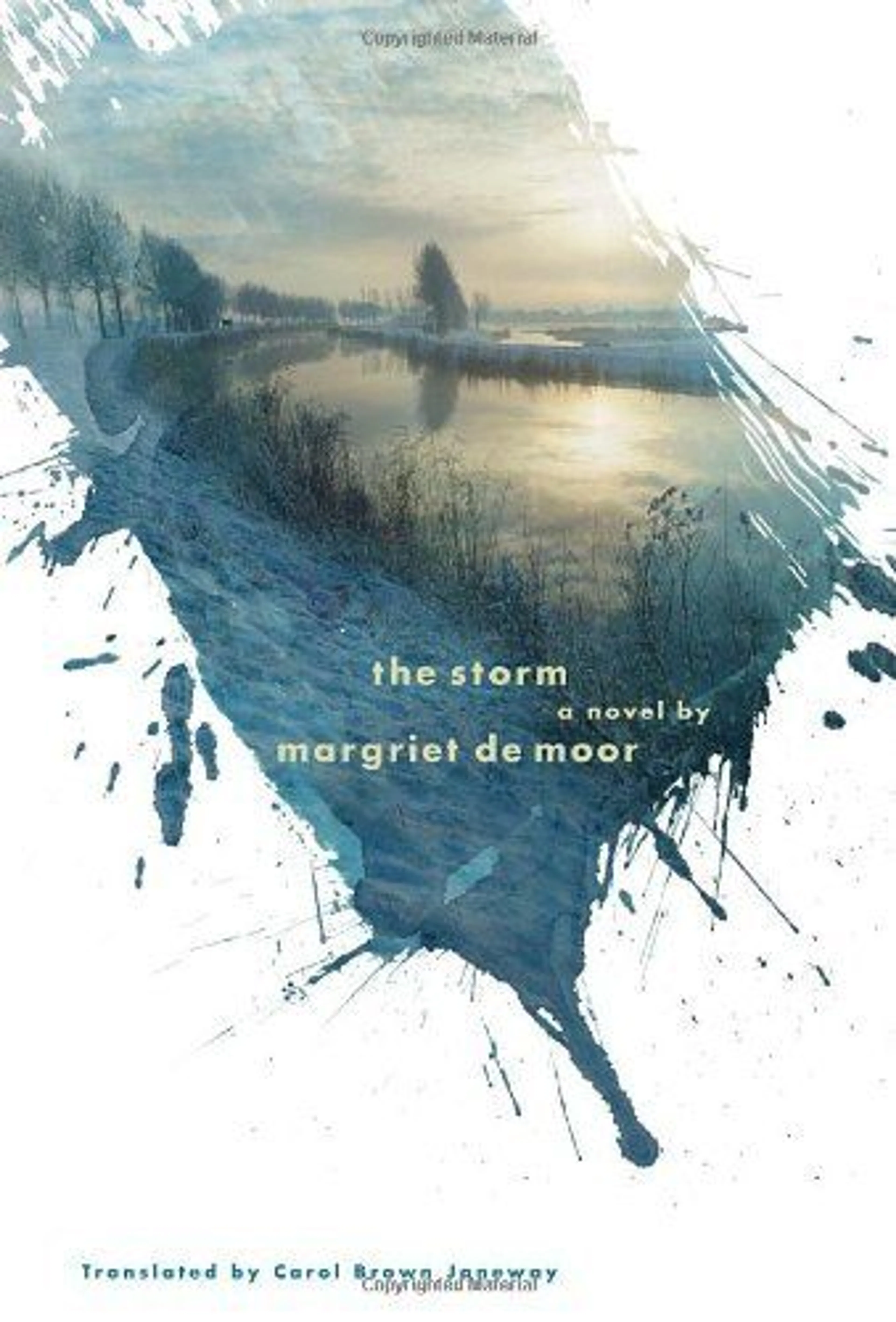 cover of The Storm