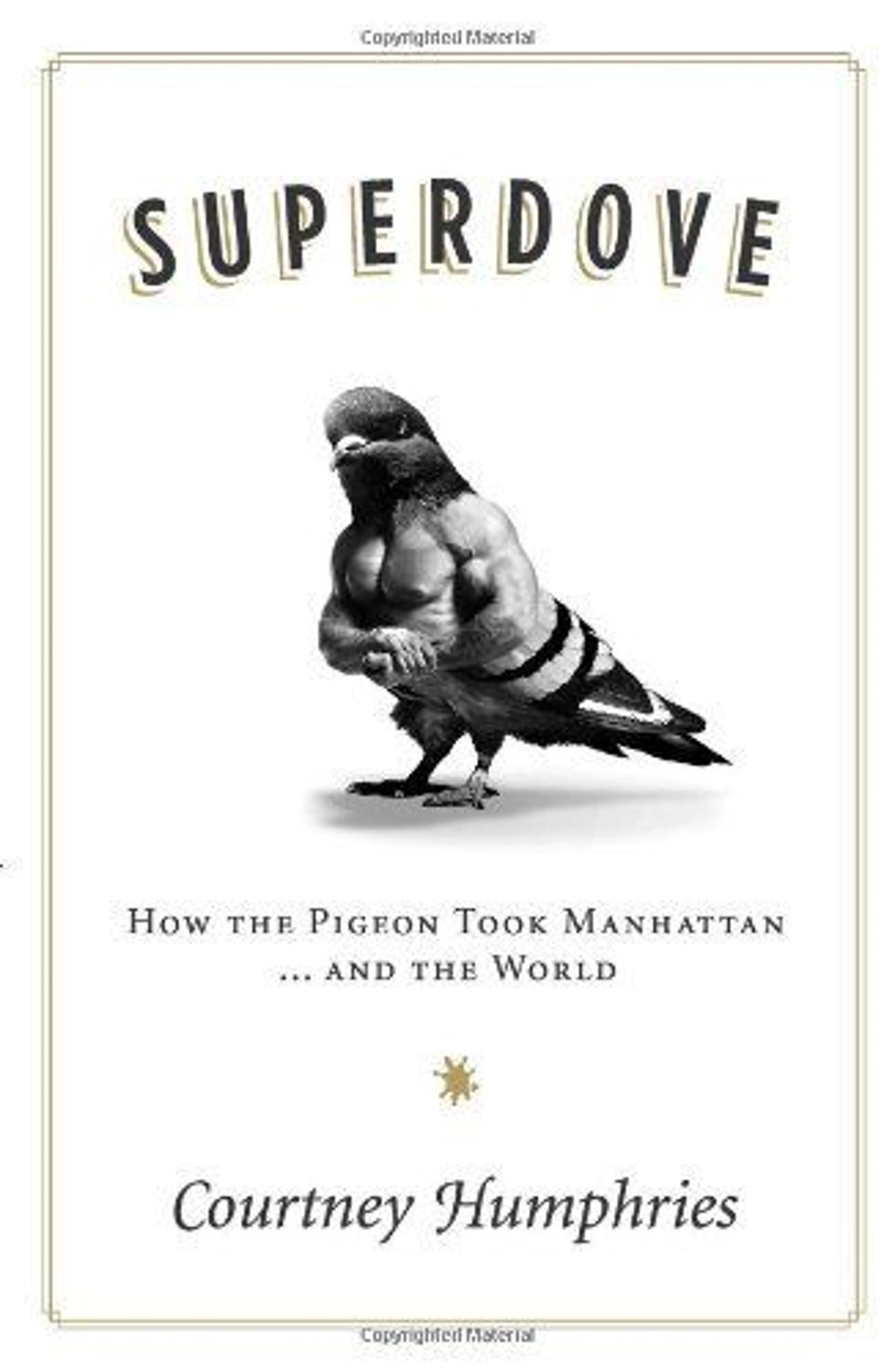 cover of Superdove
