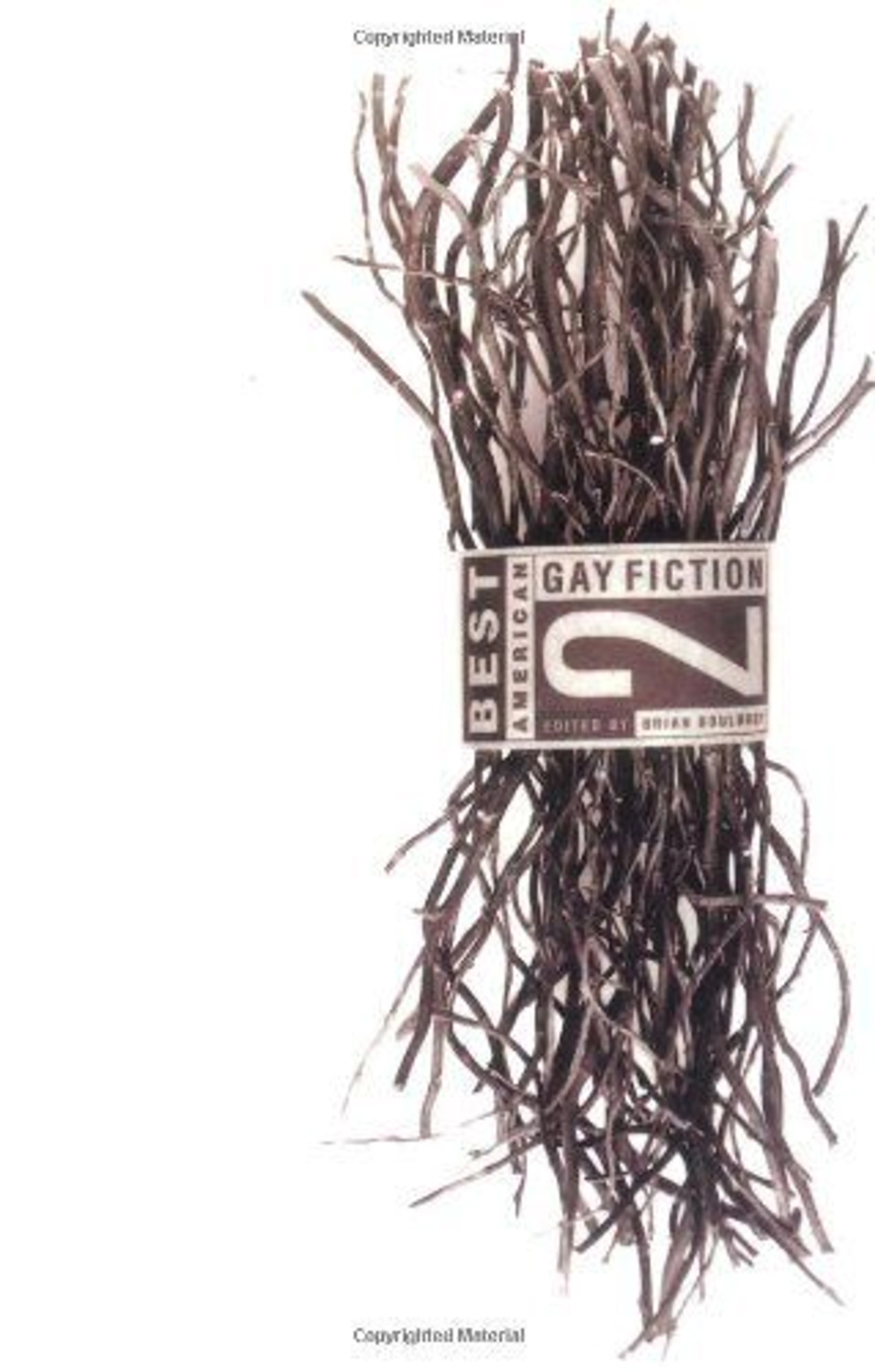 cover of Best American Gay Fiction #2