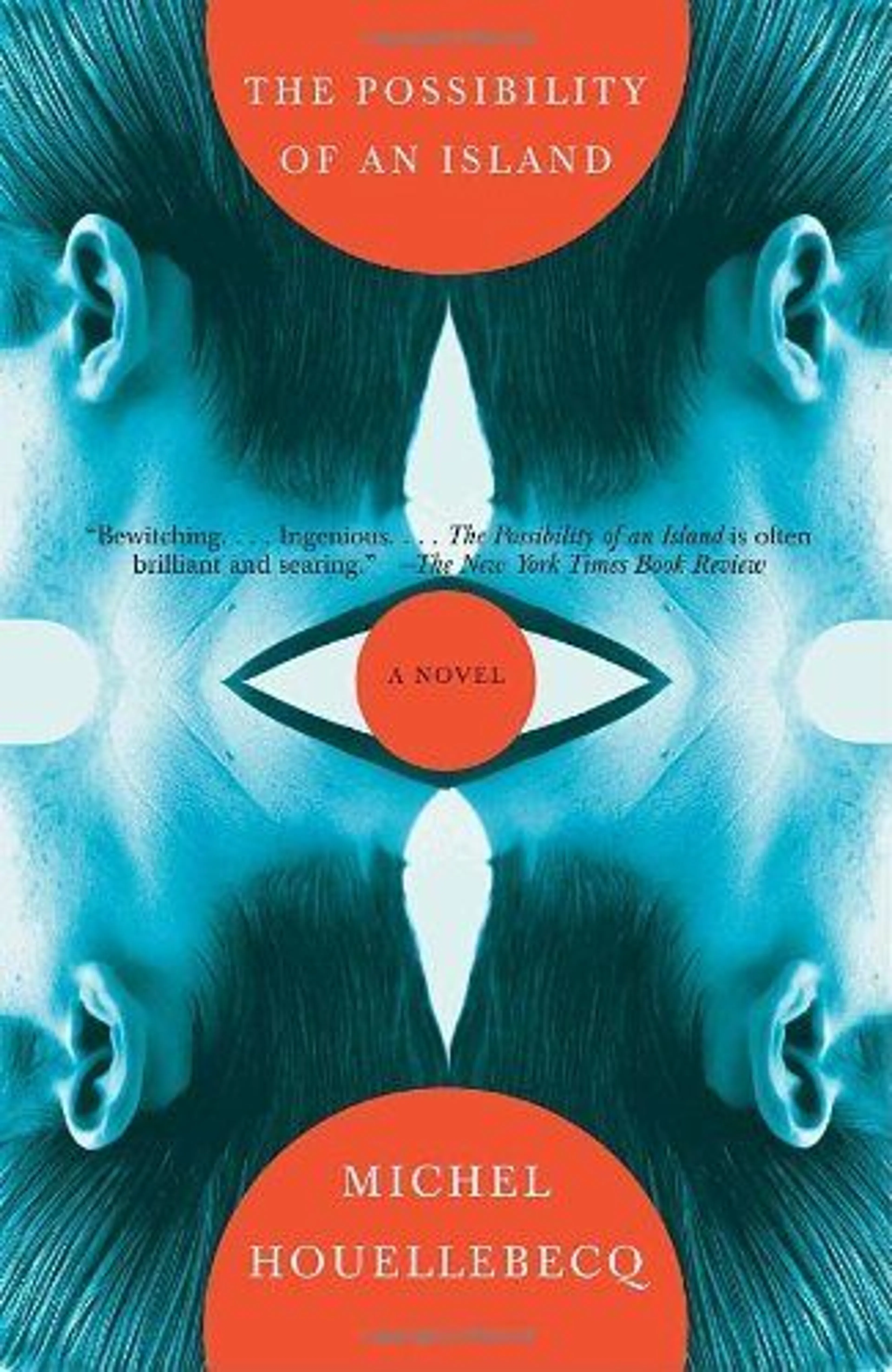 cover of The Possibility of an Island