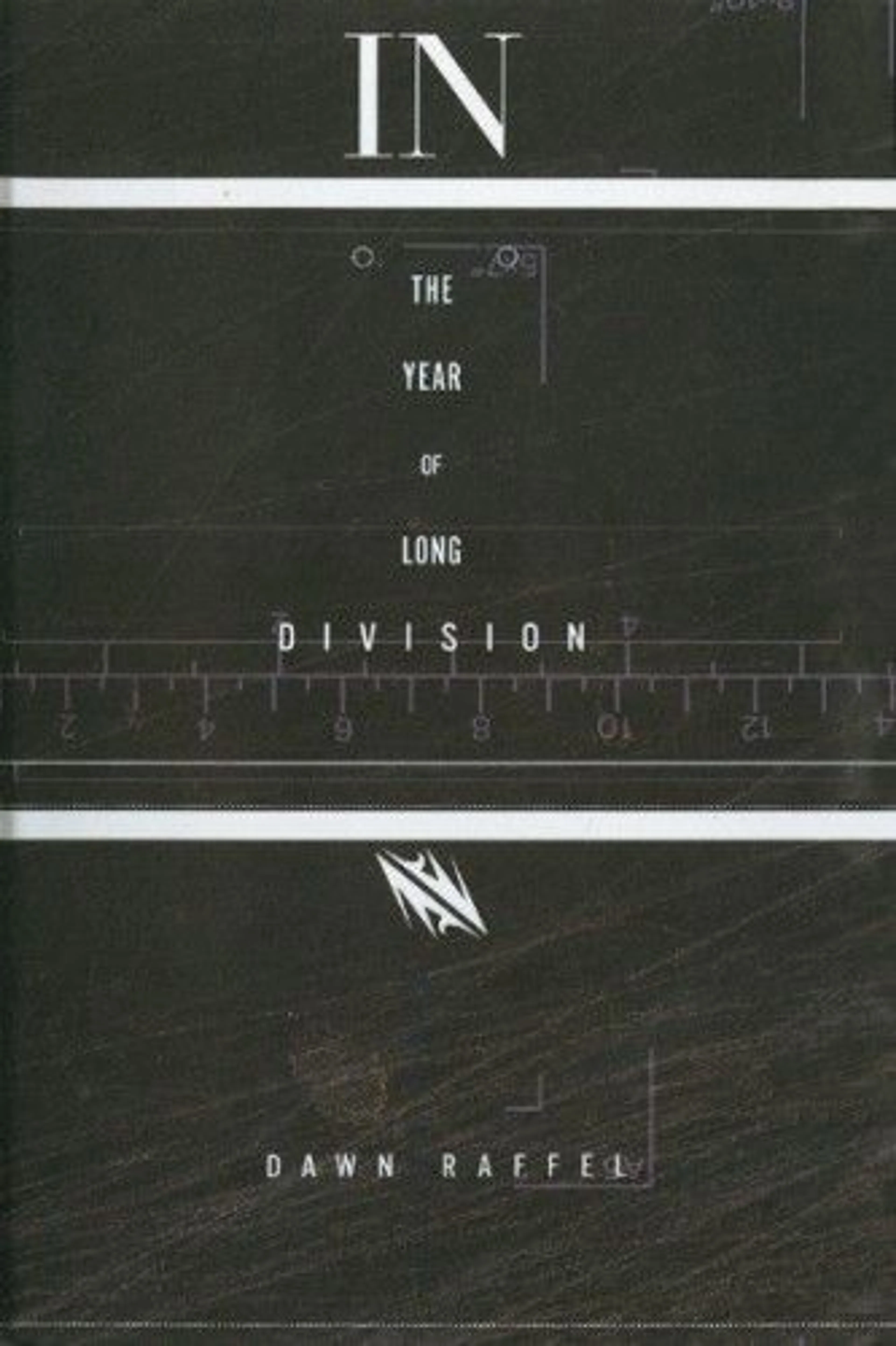 cover of In The Year Of The Long Division
