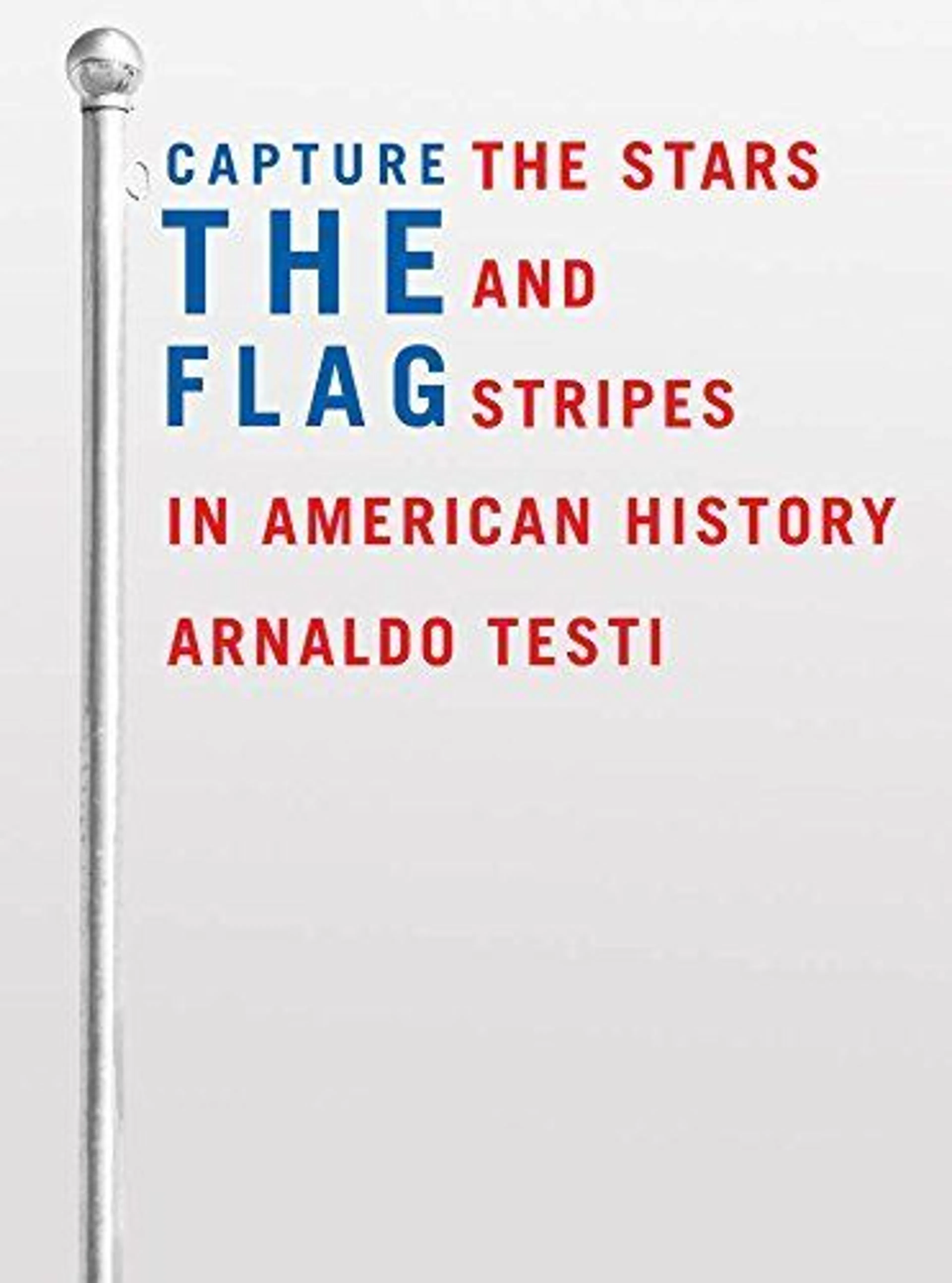 cover of Capture the Flag