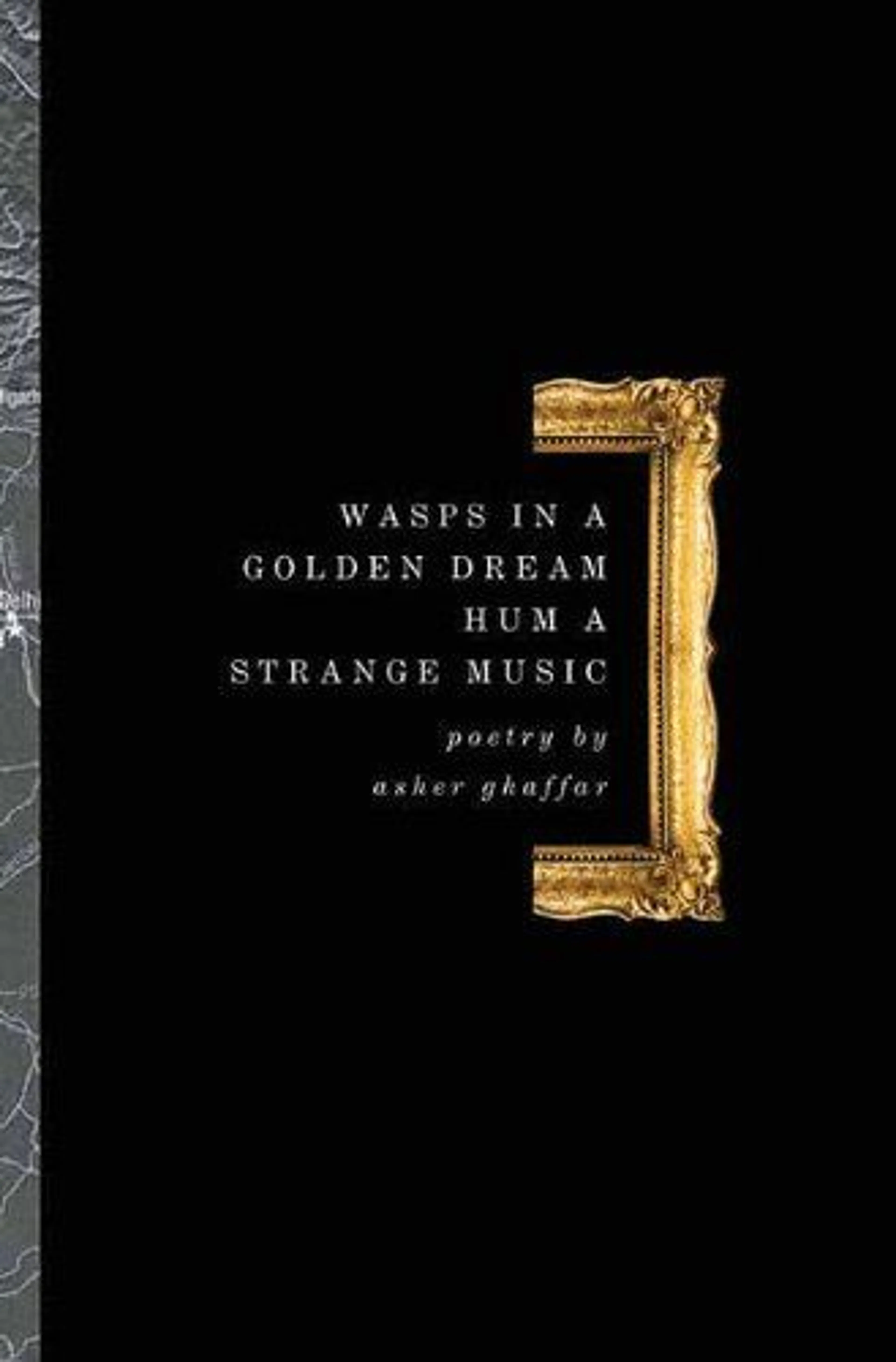 cover of Wasps in a Golden Dream Hum a Strange Music