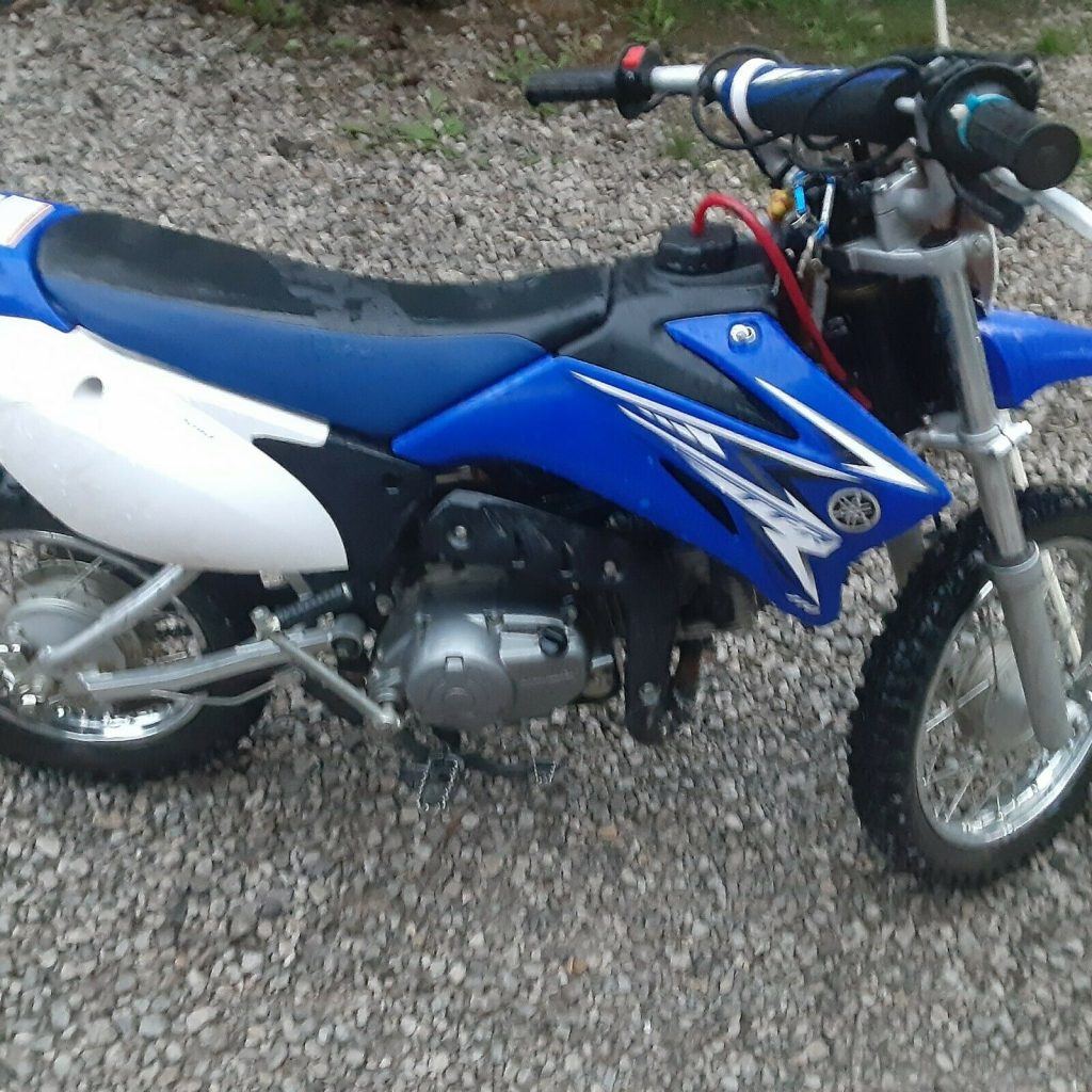 2009 Yamaha TTR110