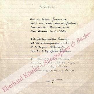 Morgenstern Morgenstern