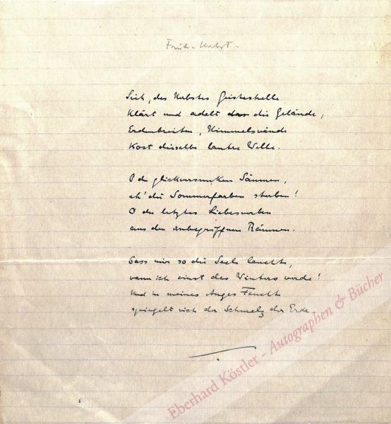 Morgenstern Morgenstern