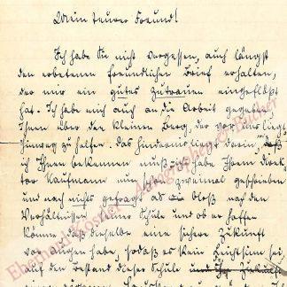 Bodelschwingh der Ältere