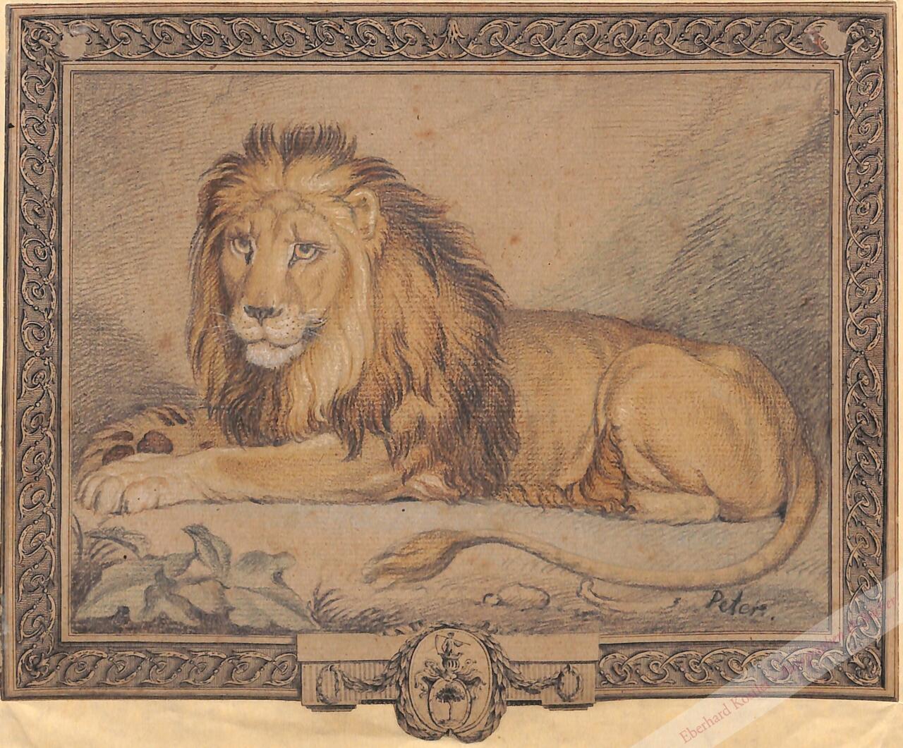 Peter, (Johann) Wenzel (Jan Václav), Tiermaler (1745-1829). Peter, (Johann) Wenzel (Jan Václav), Tiermaler (1745-1829).