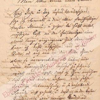 Goethe-Kreis -  Preller, Friedrich, der Ältere, Maler (1804-1878).